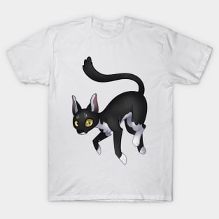 Cozy Tuxedo Cat T-Shirt